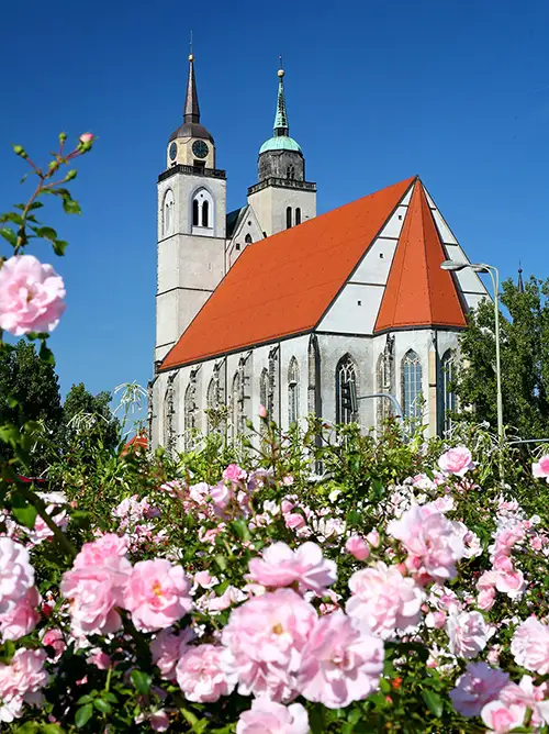 Johanniskirche Magdeburg im Sommer Foto: Andreas Lander